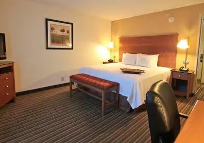 Hampton-newport News Hotel